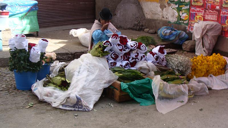 La Paz Steves (16).JPG